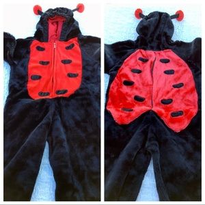 Sz 4/6 Lady Bug 🐞Halloween Costume Super Cute Warm & Fun